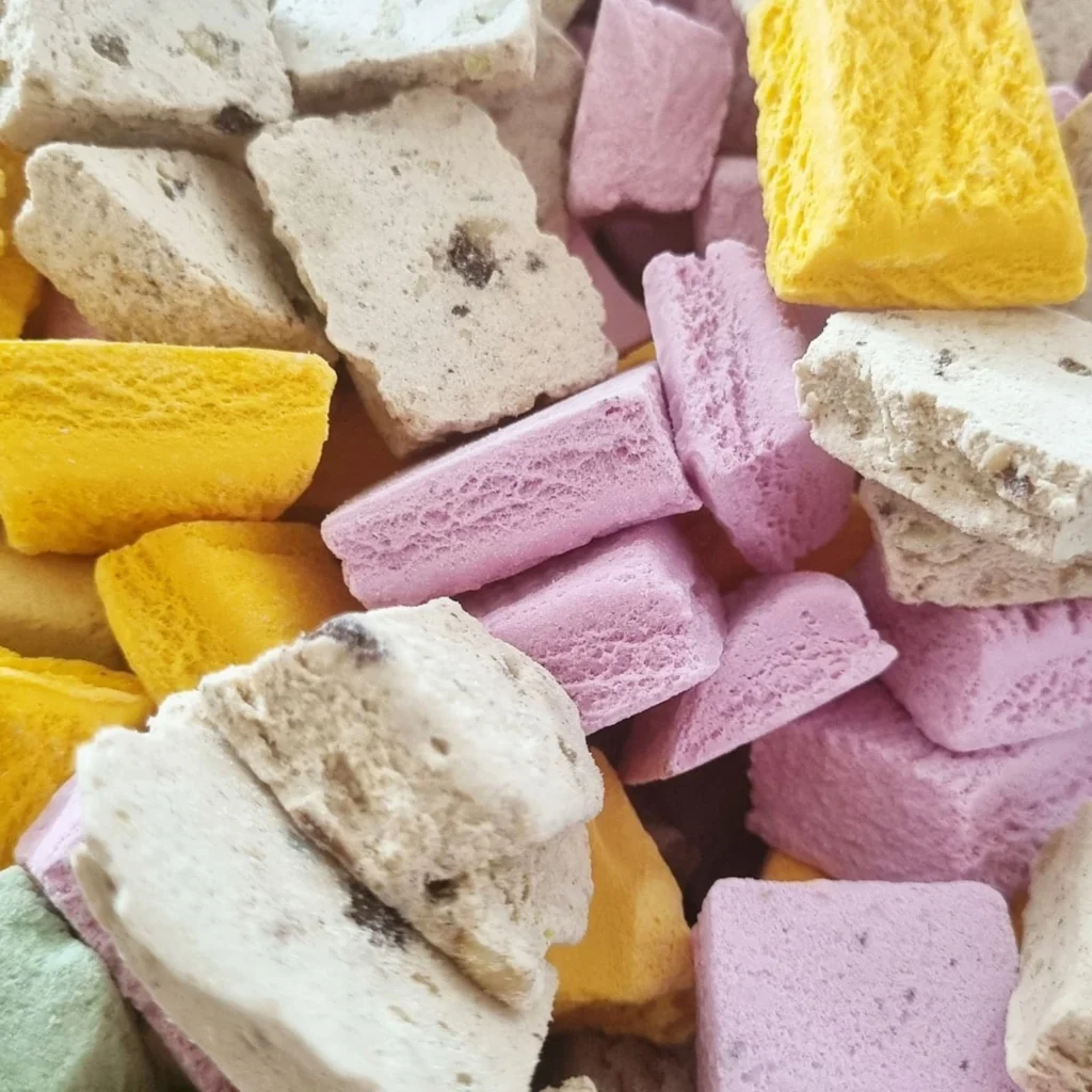 طرز تهیه بستنی خشک 
