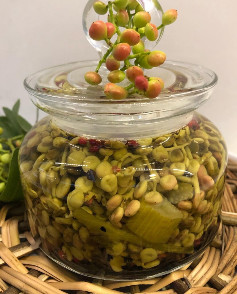 طرز تهیه ترشی بنه سبز کوهی با سرکه فوری و راحت