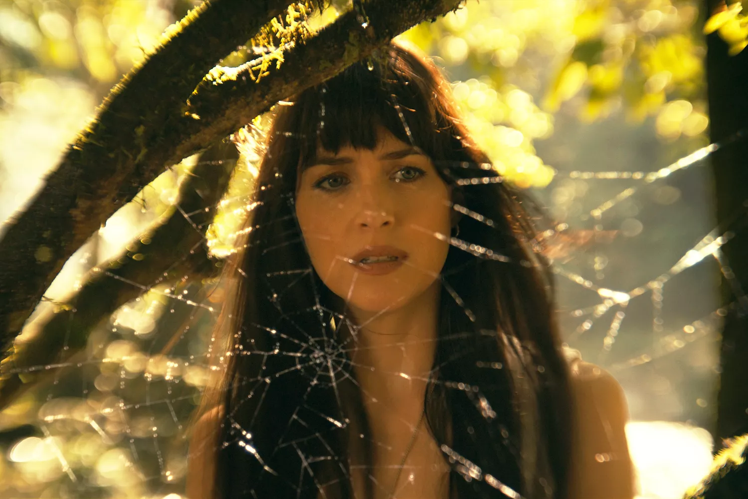 داکوتا جانسون پشت تار عنکبوت در نمایی از مادام وب