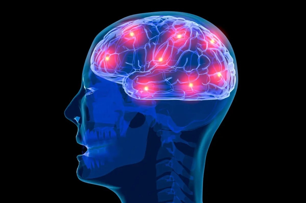 عملکرد ذهن انسان در 55 تا 60 سالگی به اوج خود می‌رسد