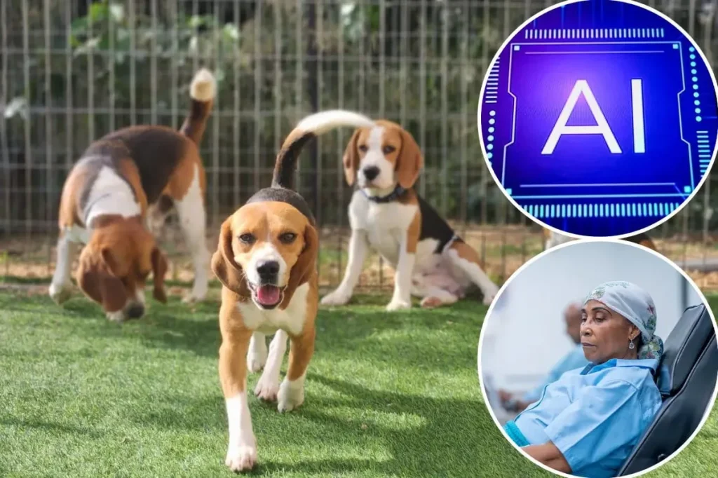 تشخیص سرطان با دقت 94 درصدی توسط سگ‌ها و هوش مصنوعی